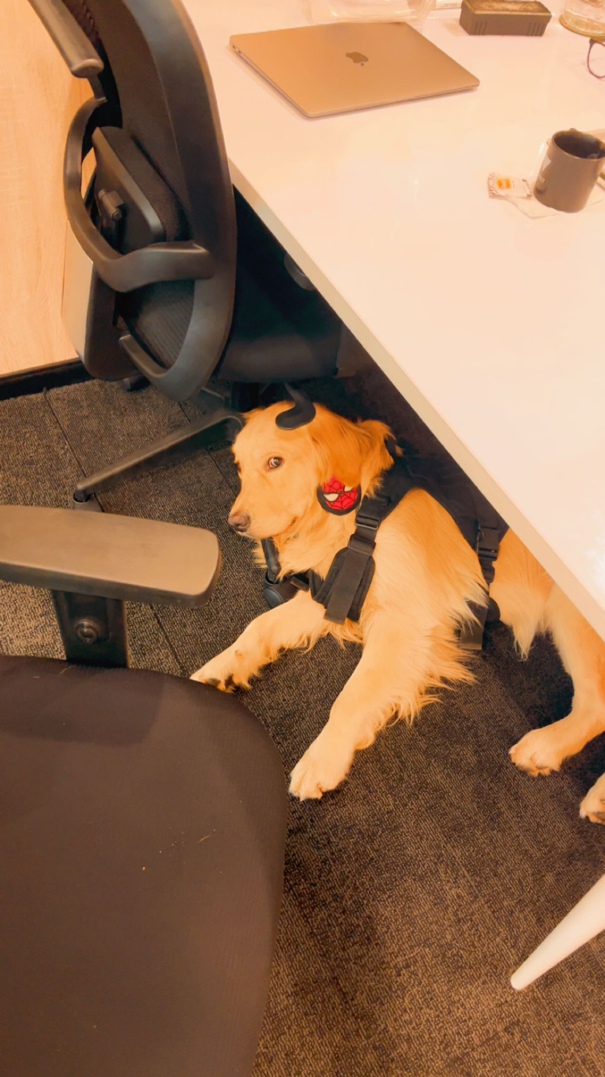 Life at RemoteEngine