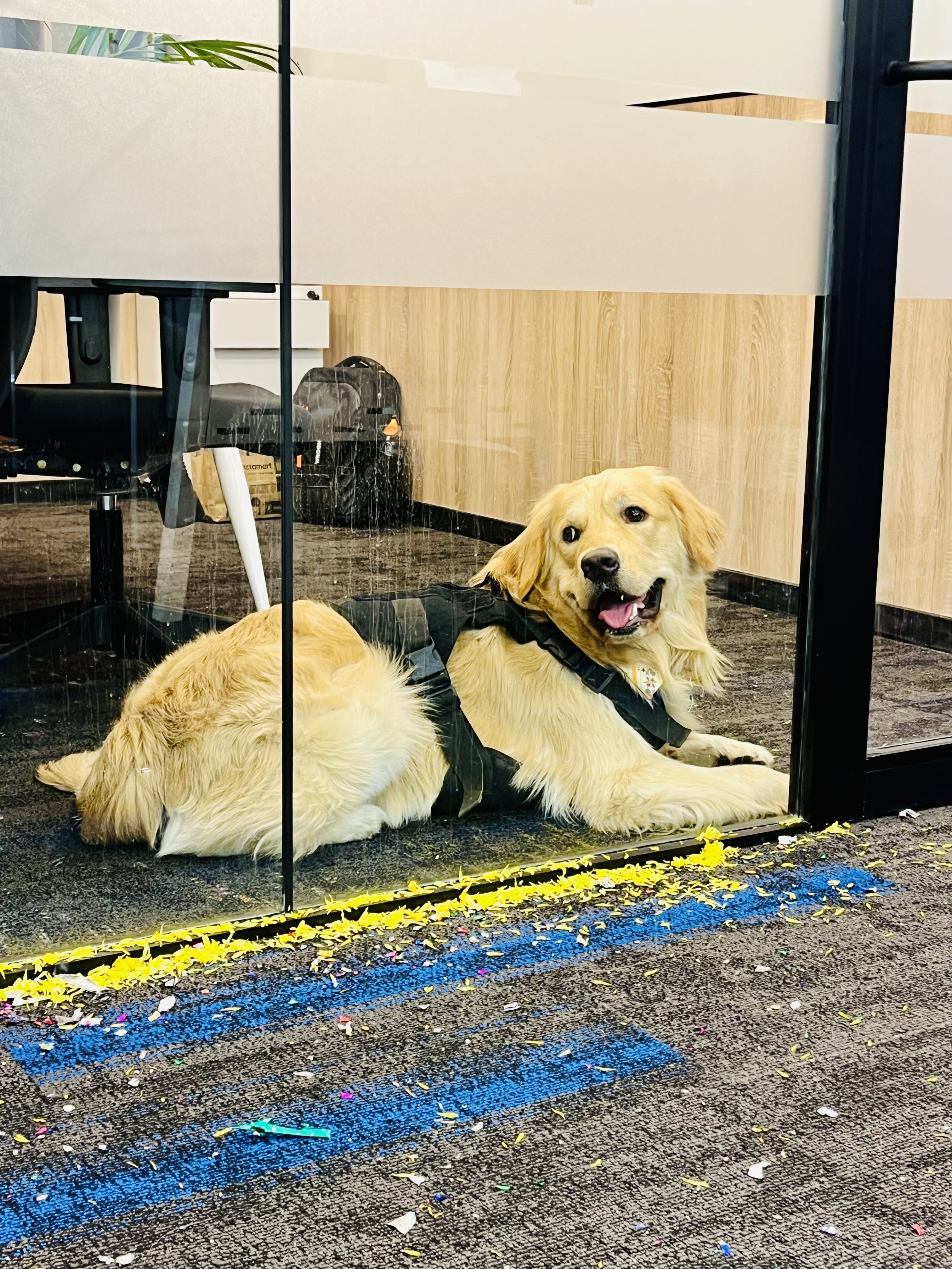Life at RemoteEngine